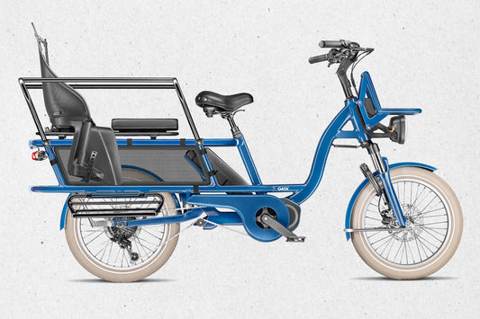 Gaya - L'incroyable, le long