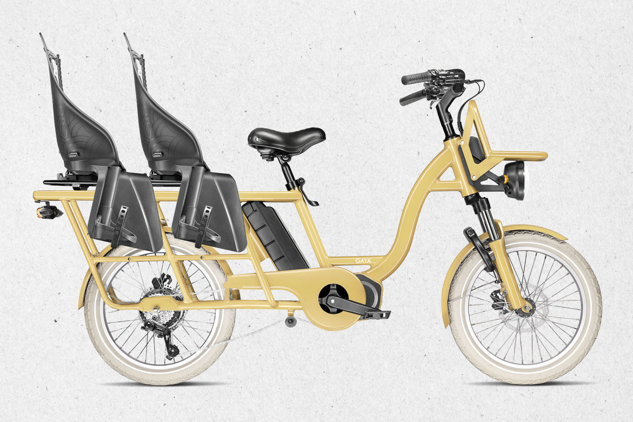 Gaya - L'original, le long