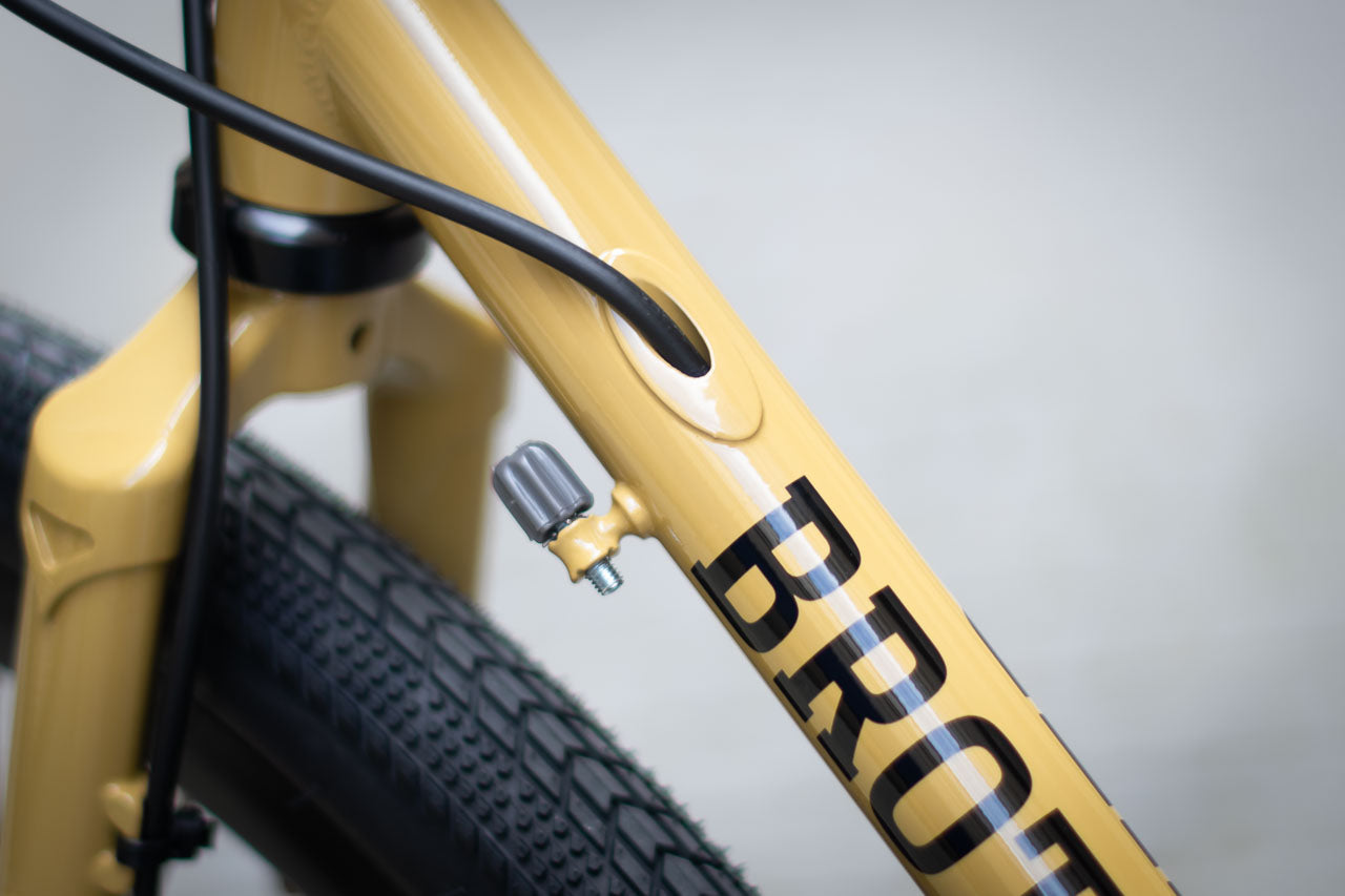 Brother cycles - Kepler