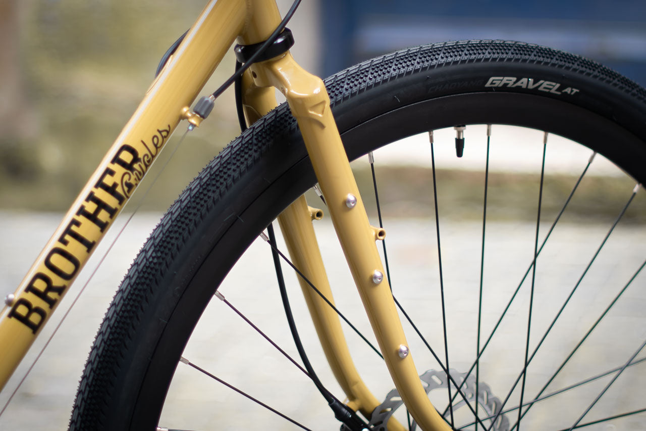 Brother cycles - Kepler