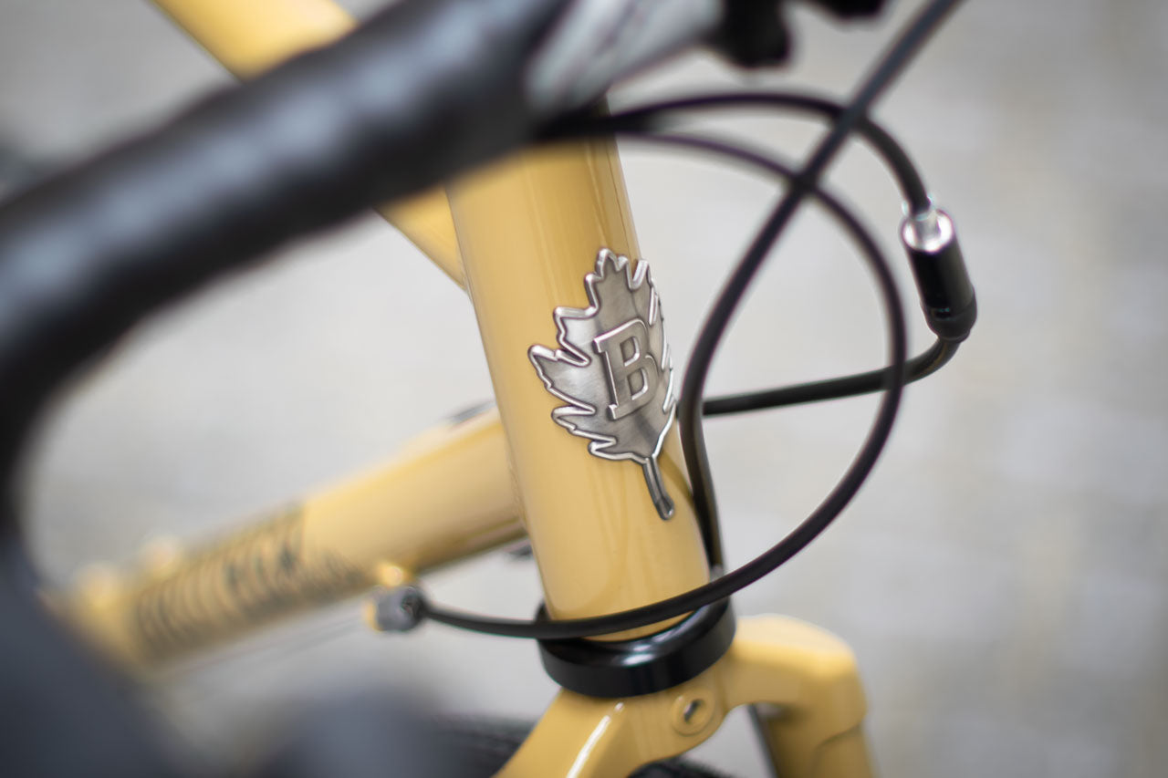 Brother cycles - Kepler