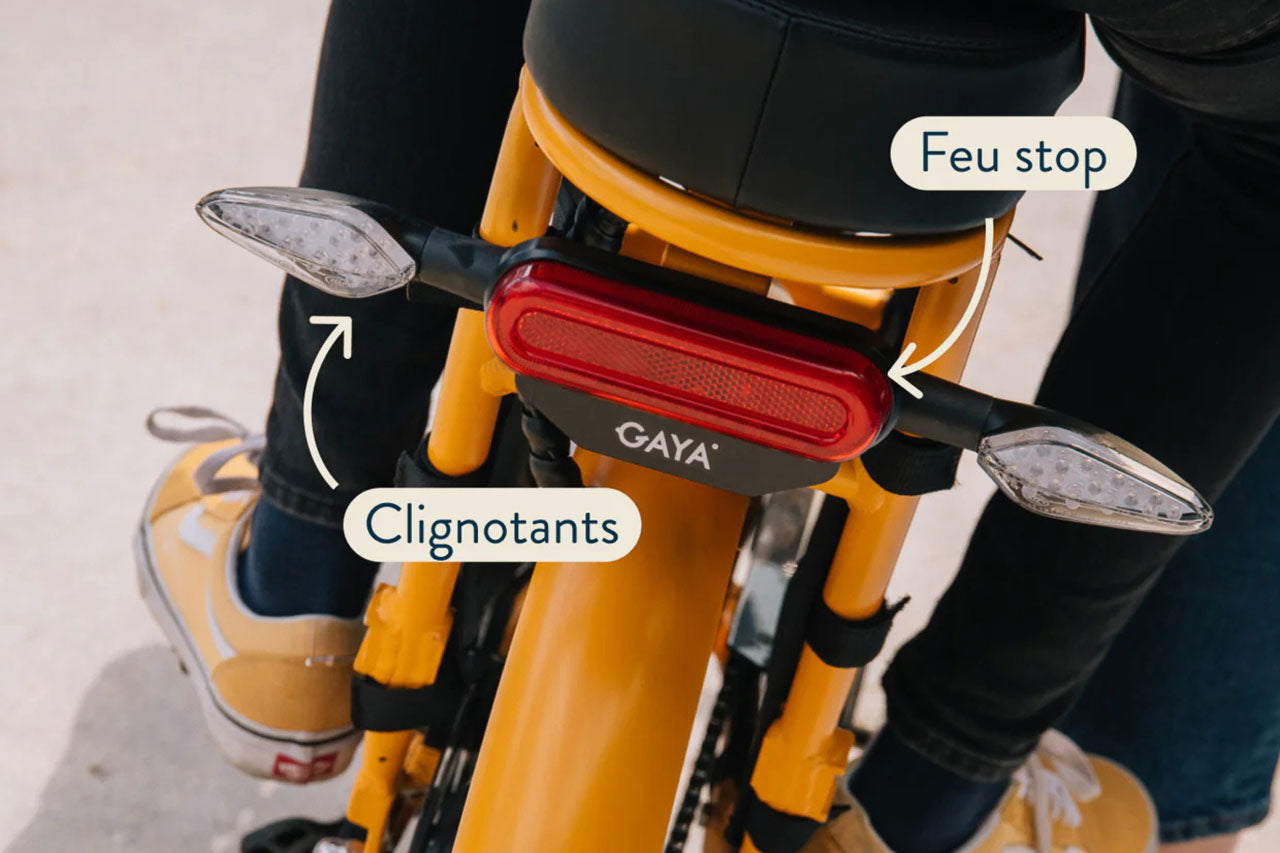 Gaya - L'original Cargo