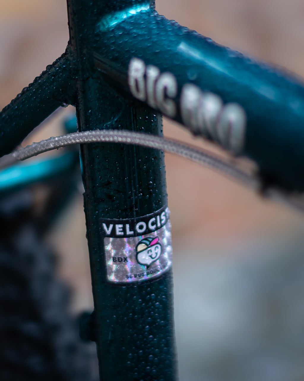 Le Big Bro de Justin