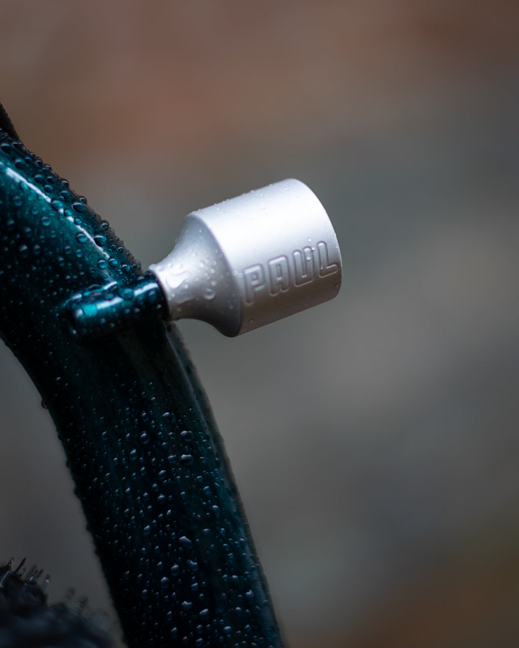 Le Big Bro de Justin