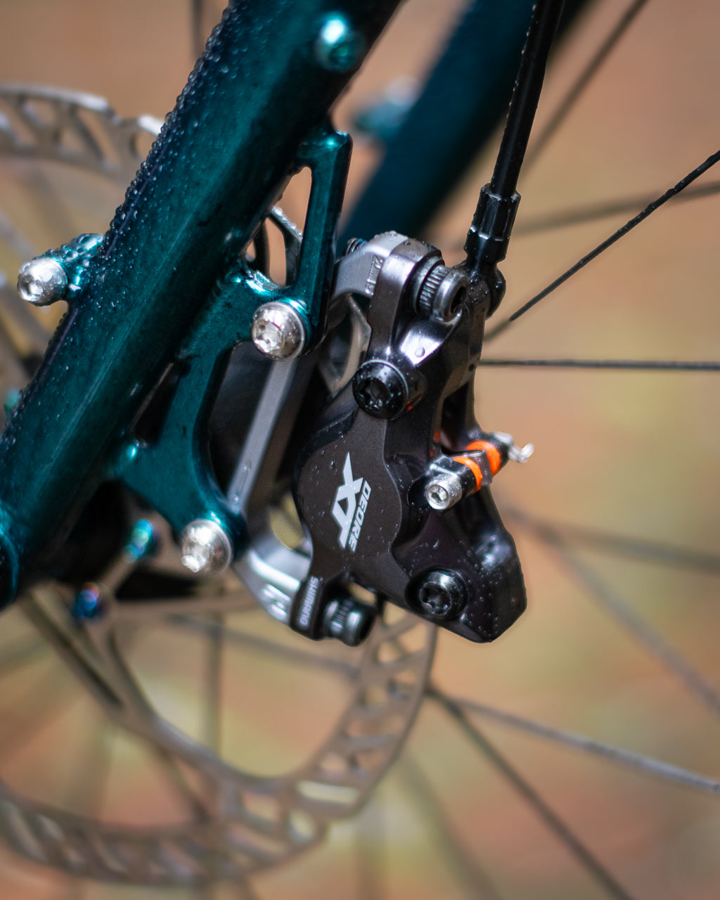 Le Big Bro de Justin