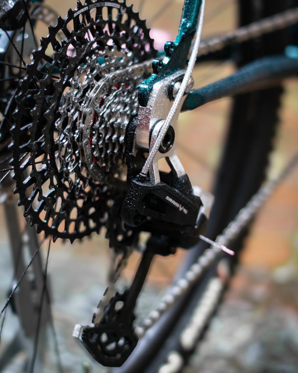 Le Big Bro de Justin