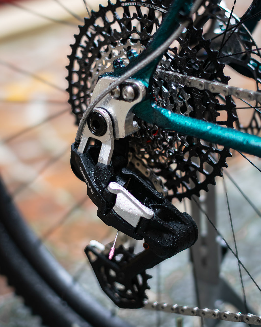 Le Big Bro de Justin