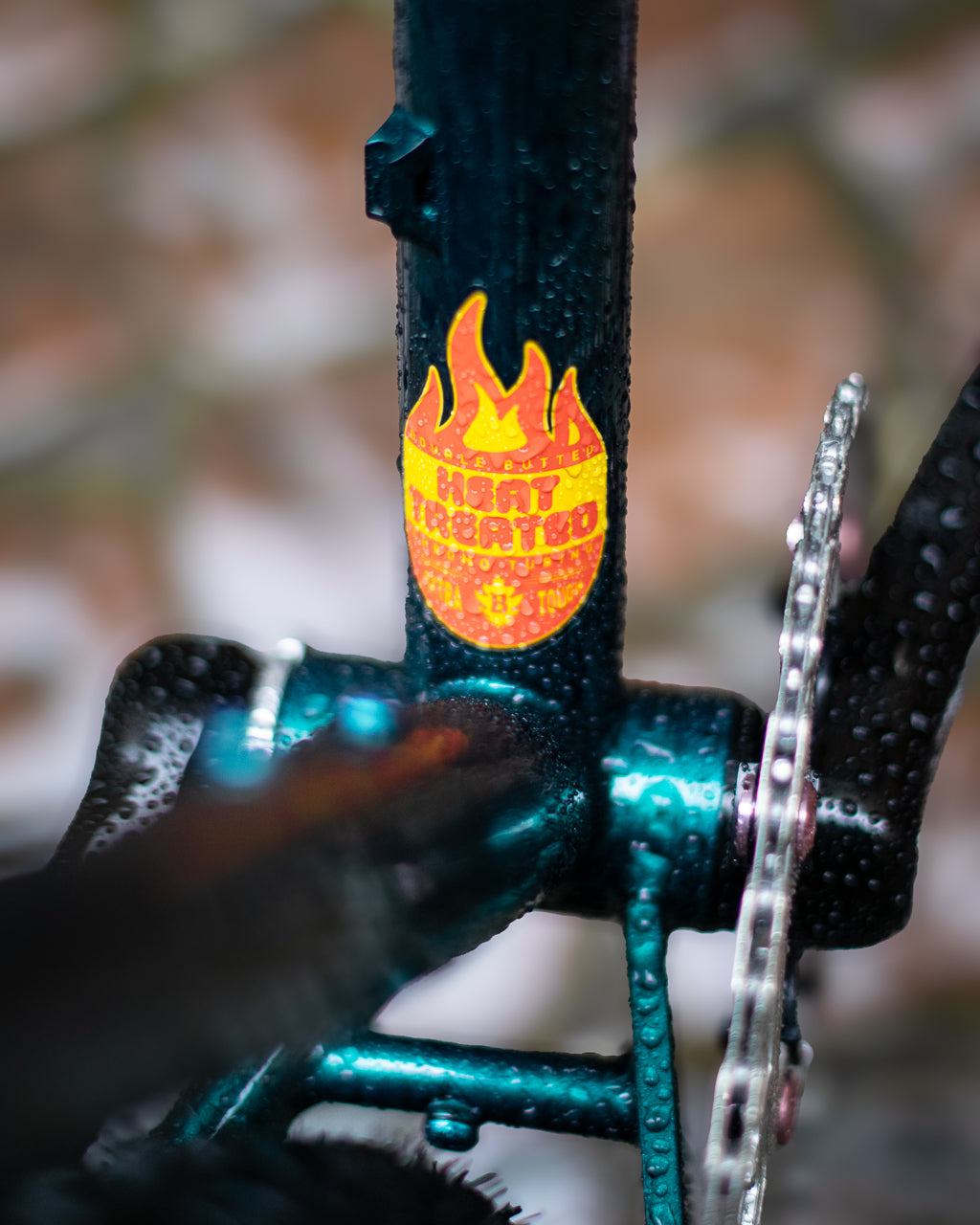 Le Big Bro de Justin