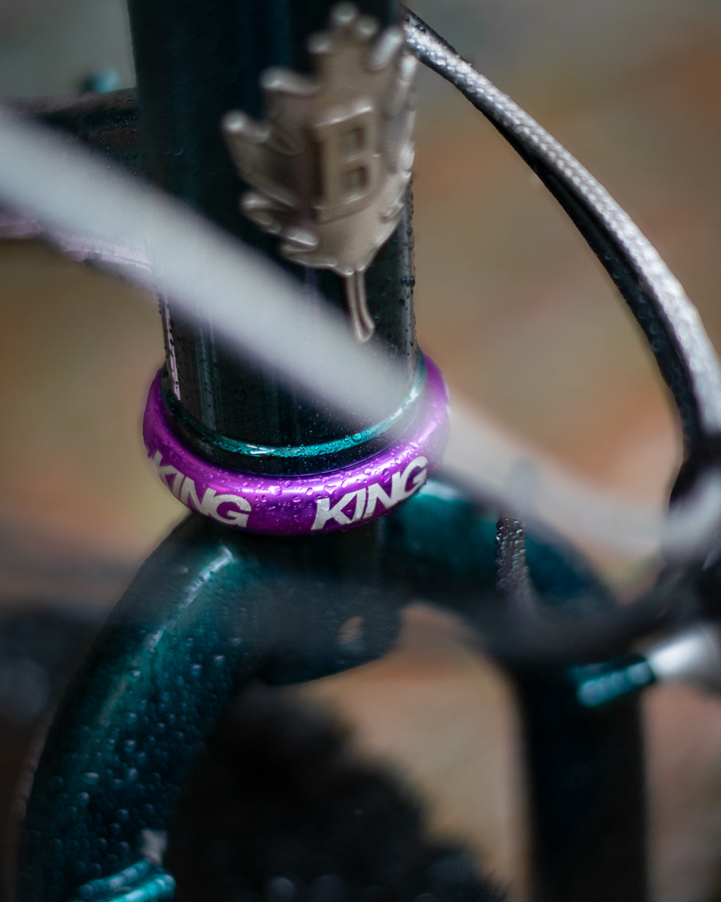 Le Big Bro de Justin