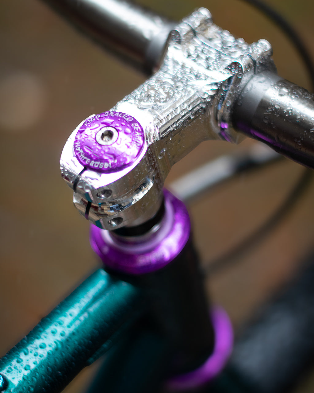 Le Big Bro de Justin