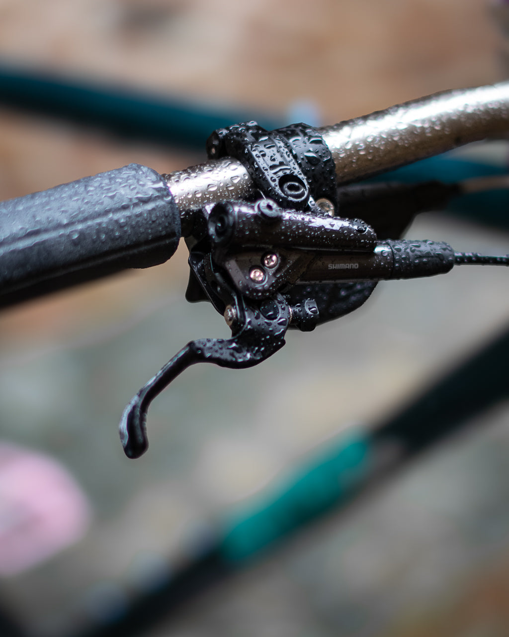 Le Big Bro de Justin