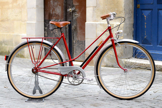 LE VELO DE VILLE DE VIRGINIE